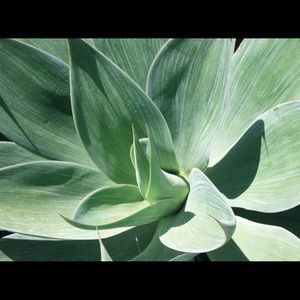 Meet your Posher, Sharri